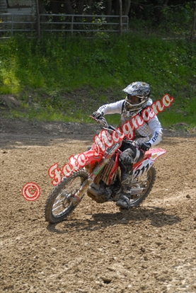 DSC_2774.jpg